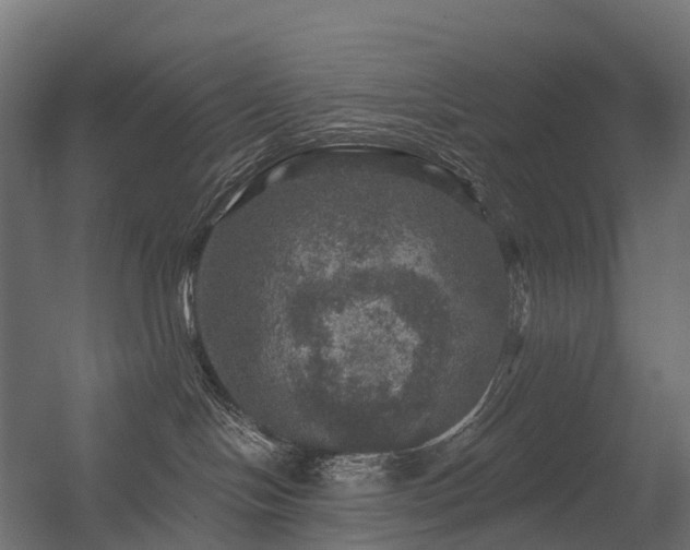 X0000056330094200509021641