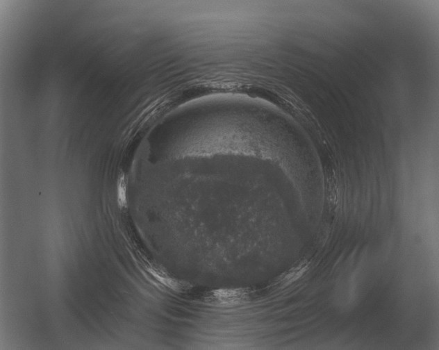 X0000056330095200509021641