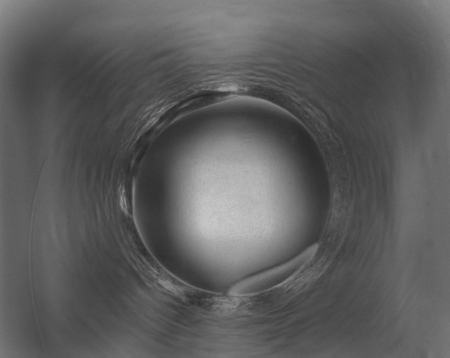 X0000056330096200509021641