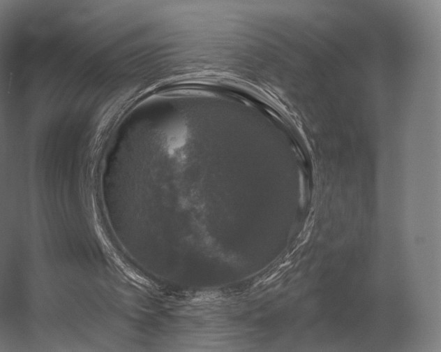 X0000056330097200509021640