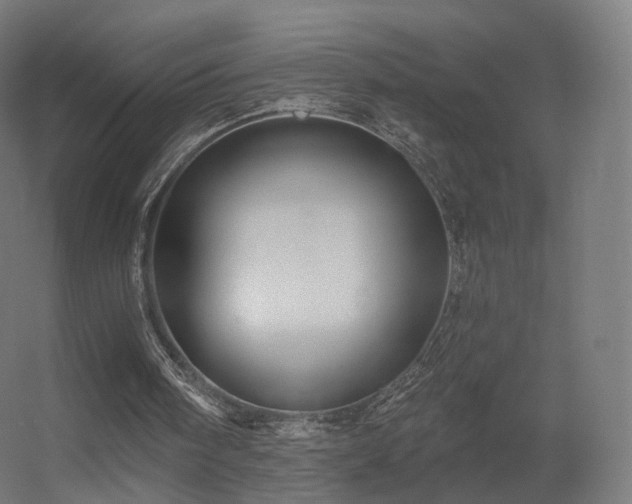 X0000056330098200509021640