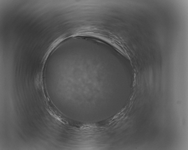 X0000056330099200509021640