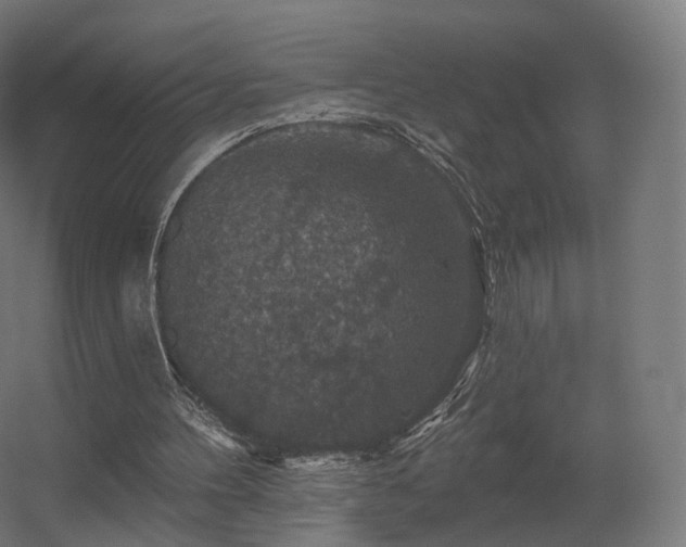 X0000056330100200509021640