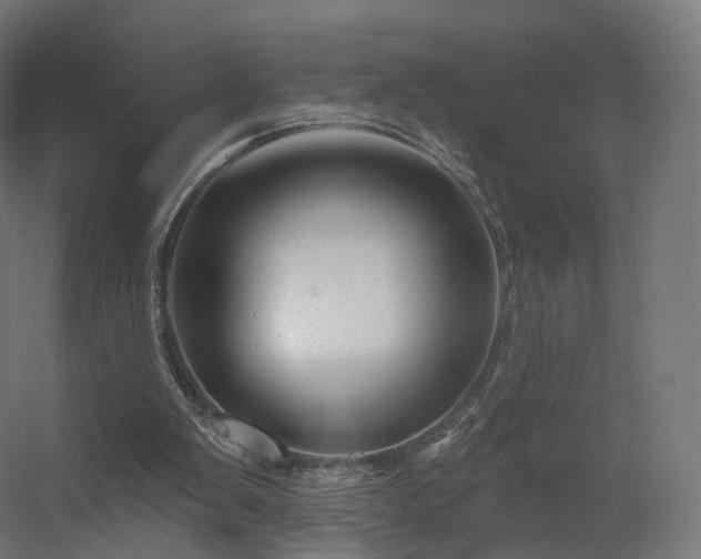 X0000056330103200509021640