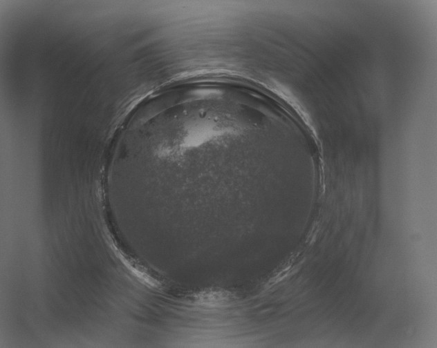 X0000056330105200509021640