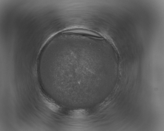 X0000056330108200509021640