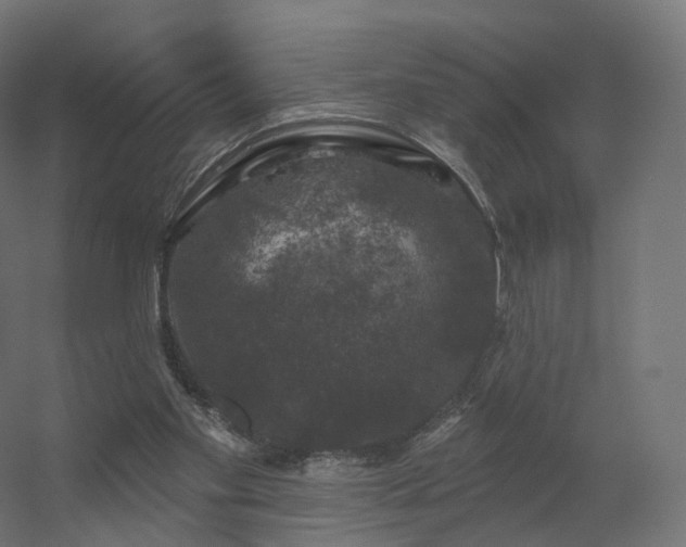 X0000056330109200509021640