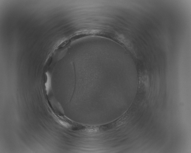 X0000056330110200509021640