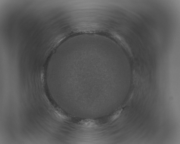 X0000056330113200509021640