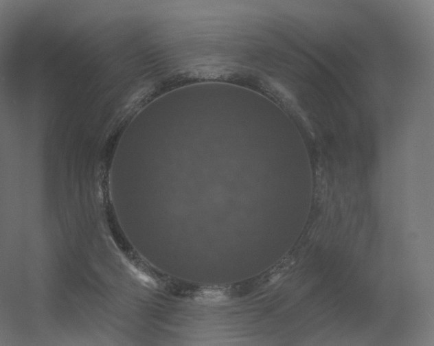 X0000056330114200509021640