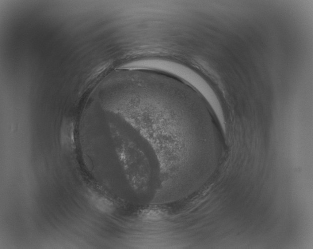 X0000056330115200509021640