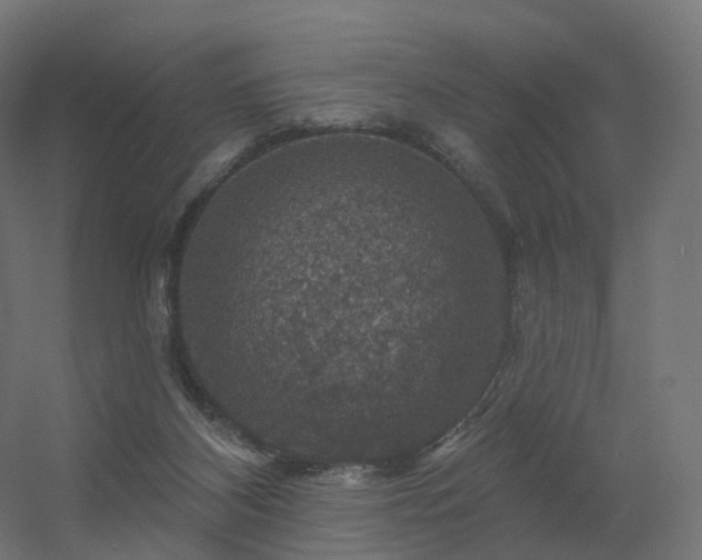 X0000056330116200509021639