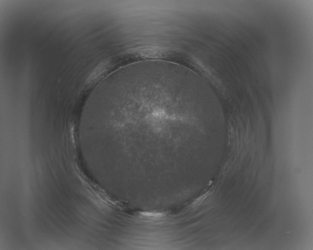 X0000056330117200509021639