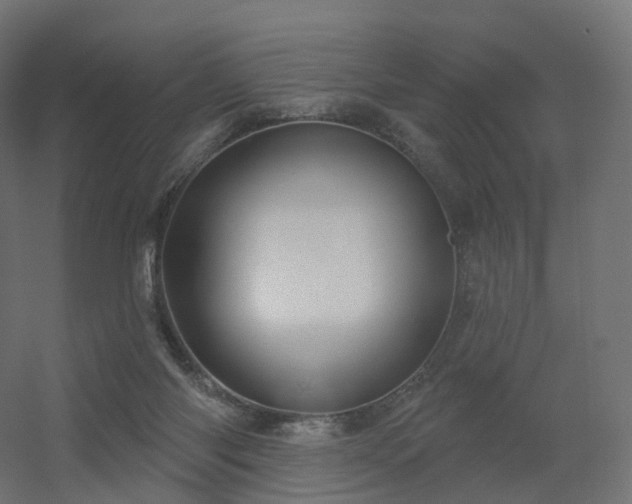 X0000056330118200509021639