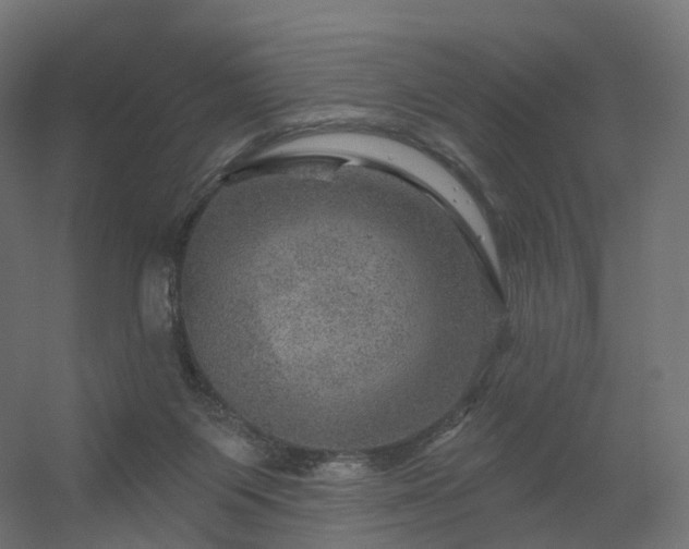 X0000056330119200509021639