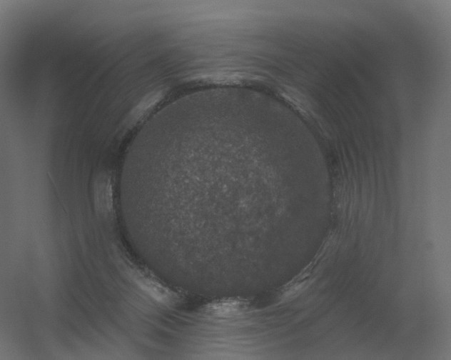 X0000056330120200509021639