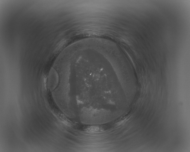 X0000056330123200509021639