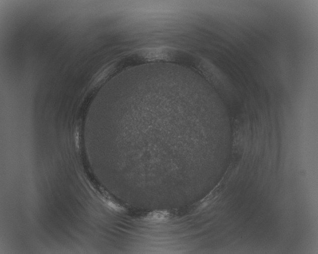 X0000056330124200509021639