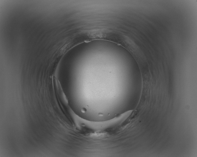 X0000056330125200509021639