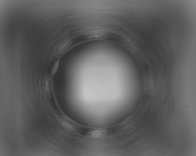 X0000056330126200509021639