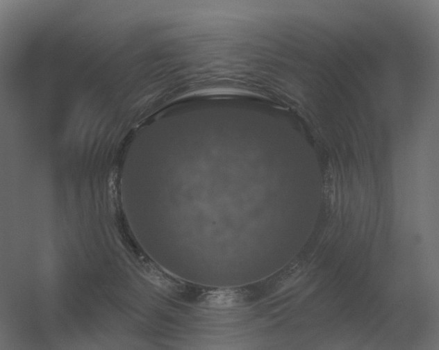 X0000056330127200509021639