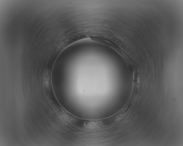 X0000056330129200509021639