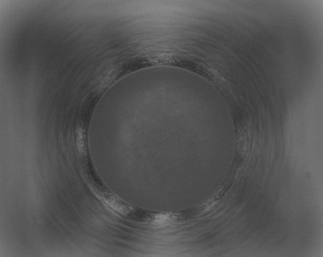 X0000056330130200509021639