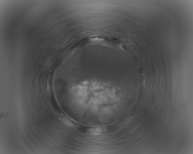 X0000056330131200509021639