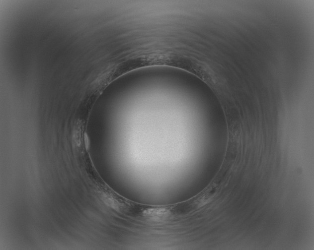 X0000056330133200509021639