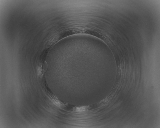 X0000056330134200509021639