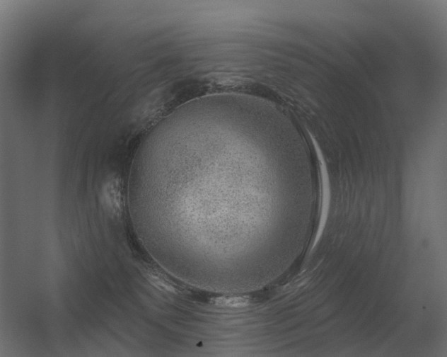 X0000056330135200509021639