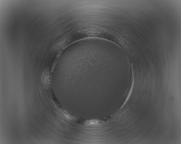 X0000056330137200509021639