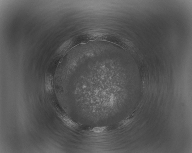 X0000056330138200509021639