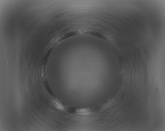 X0000056330139200509021639