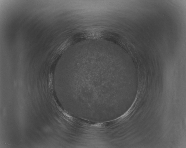 X0000056330144200509021639