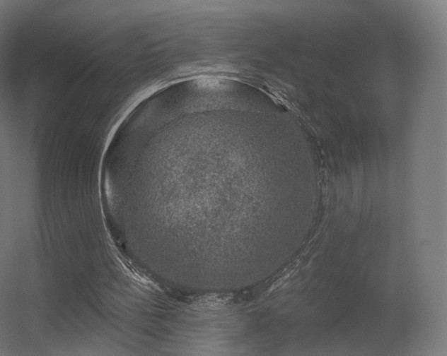 X0000056330148200509021638