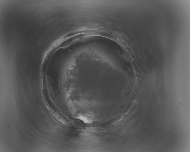 X0000056330149200509021638