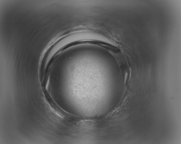 X0000056330150200509021638