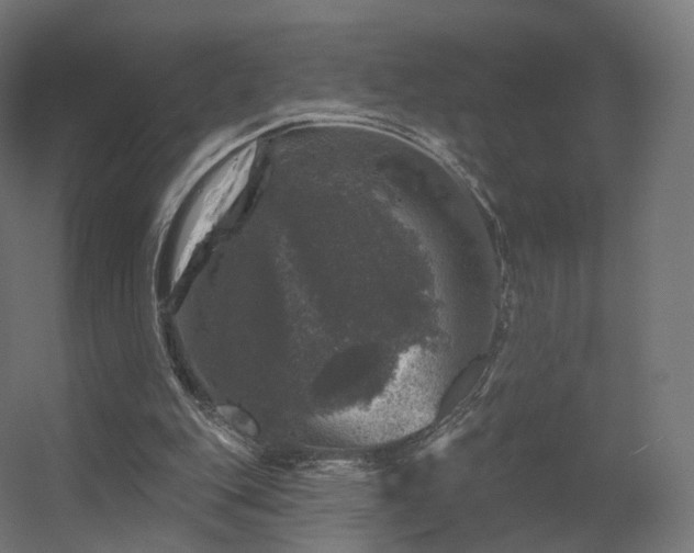 X0000056330151200509021638