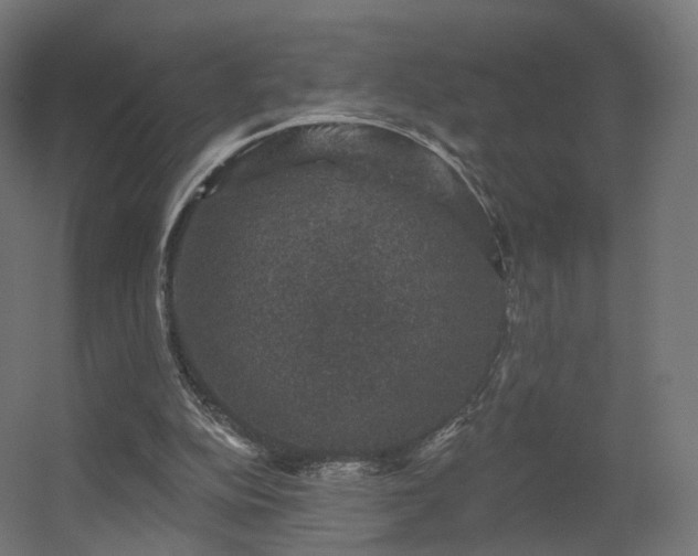 X0000056330152200509021638