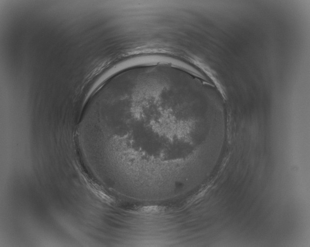 X0000056330153200509021638