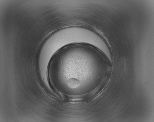 X0000056330154200509021638