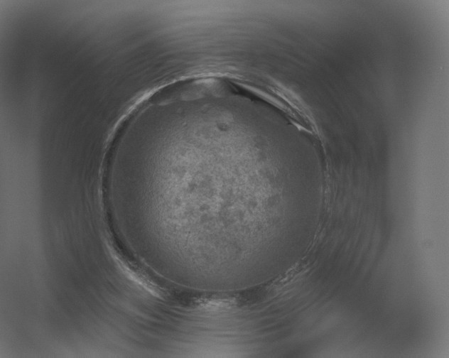 X0000056330155200509021638