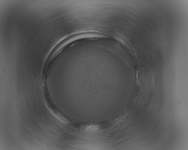 X0000056330156200509021638