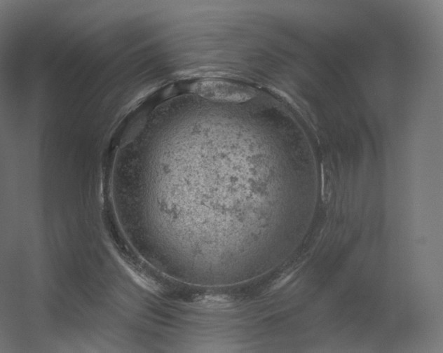 X0000056330157200509021638