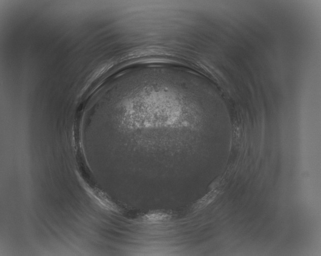 X0000056330158200509021638