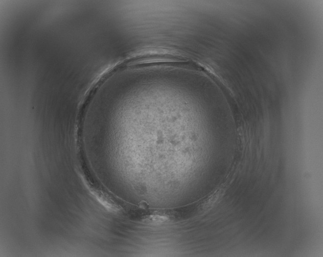 X0000056330159200509021638