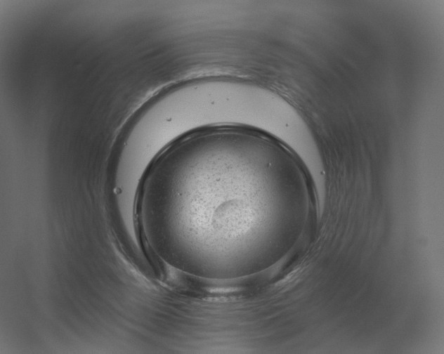 X0000056330160200509021638