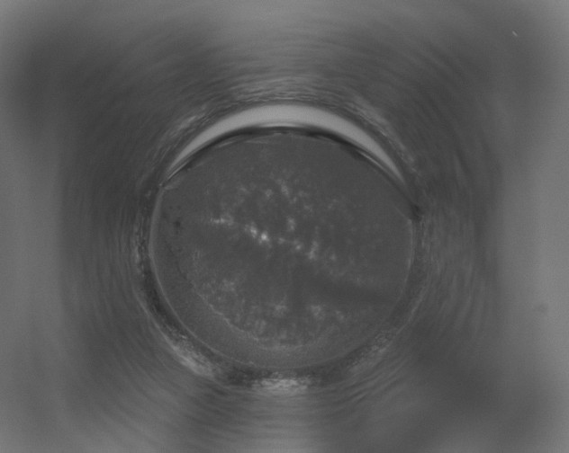 X0000056330161200509021638