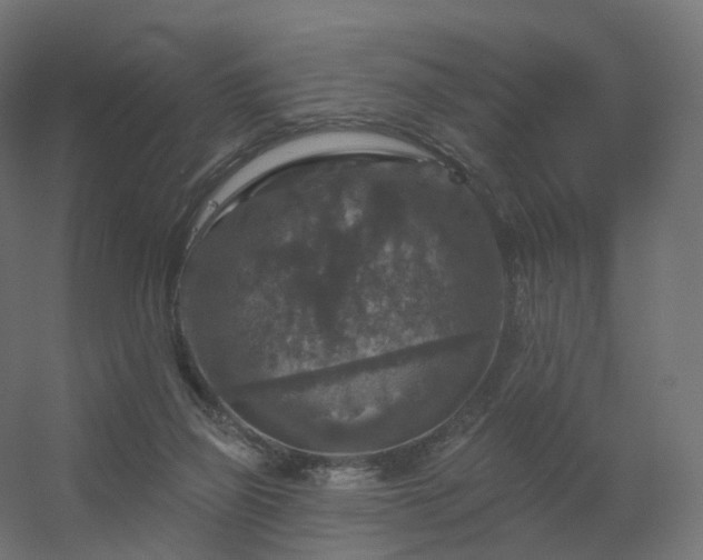 X0000056330165200509021639